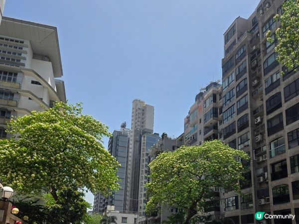 #UCreator #打卡美食 #好去處 #全新景點 #隱世...