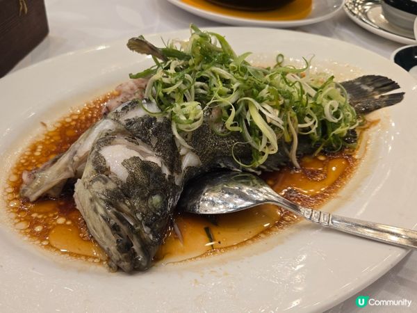 #中菜餐廳 #UCreator  #香港美食 #九龍美食 #...