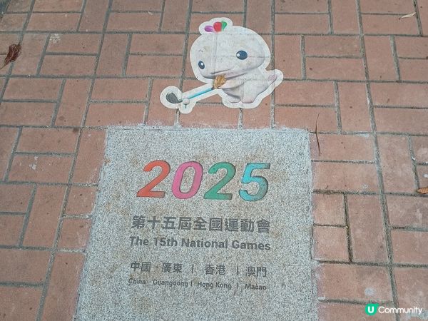 高爾夫球公開賽2025🏌️