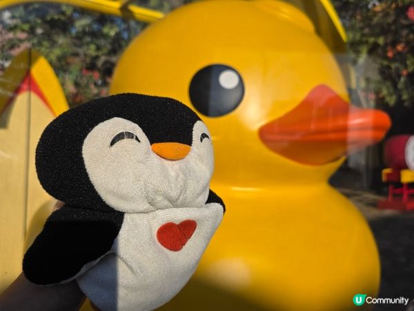 【香港人生日優惠】不去一定後悔！免費坐昂坪360大嶼山必去纜