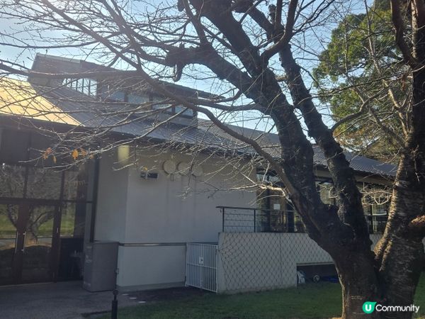 #日本好去處 #UCreator #日本櫻花 #旅行打卡 #...