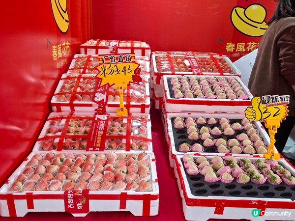 羅湖-春風花市 2026