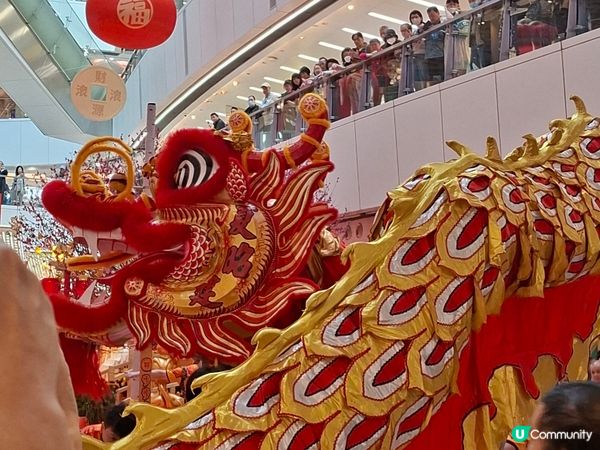 摸過獅頭、鴻運當頭