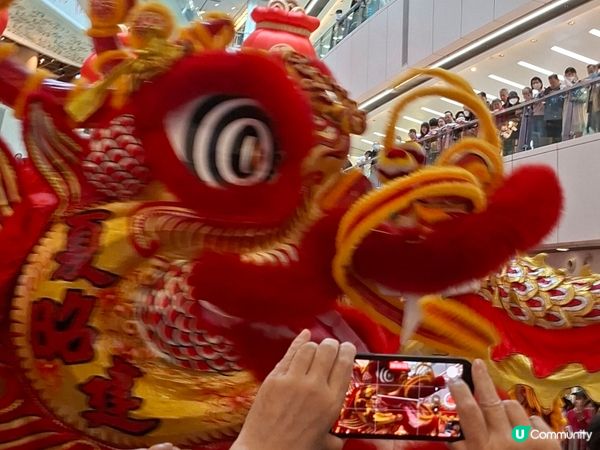 摸過獅頭、鴻運當頭