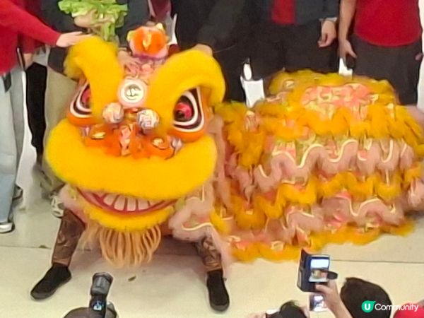 摸過獅頭、鴻運當頭