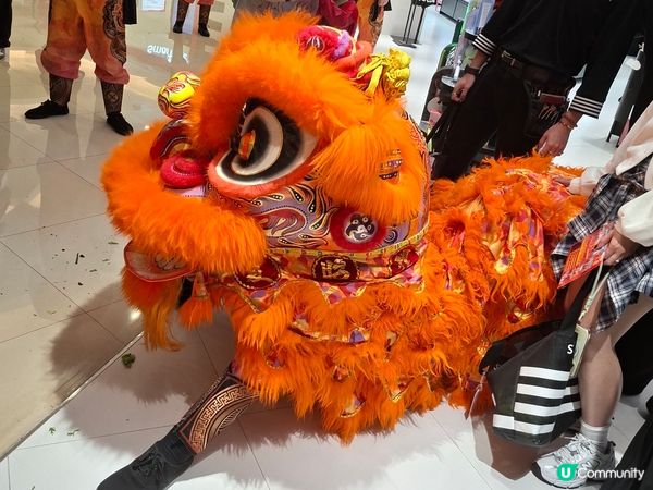 摸過獅頭、鴻運當頭