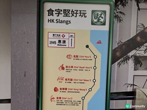 叮叮車惠康打卡！Retro風香港情懷📸🌴