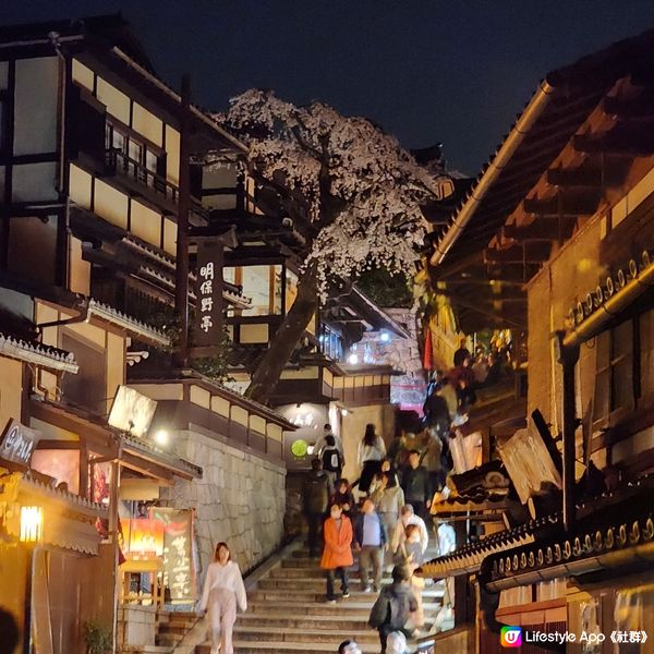 京都清水寺夜櫻🎎🌸