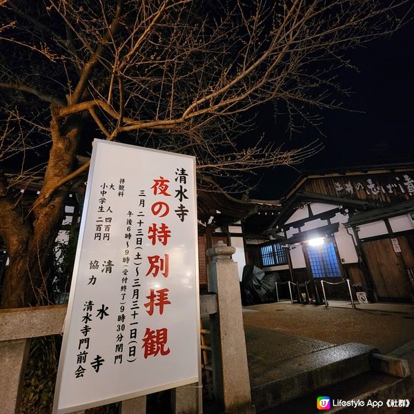 京都清水寺夜櫻🎎🌸