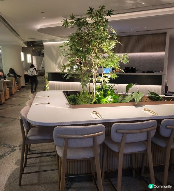 集餐廳、酒吧同埋文化展覽嘅全新概念店