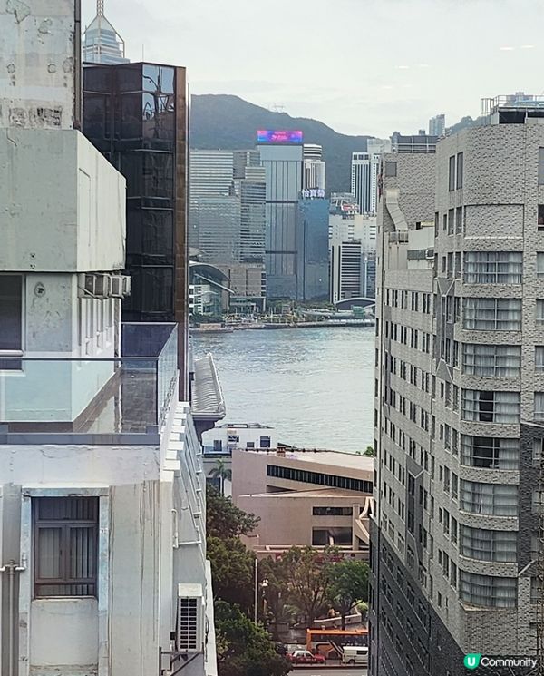 「古琴雅苑」午市套餐真係好抵食，有半隻烤北京填鴨🦆、意大利黑...