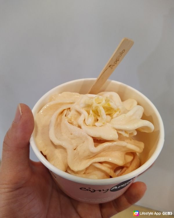 西瓜加桃嘅frozen yogurt