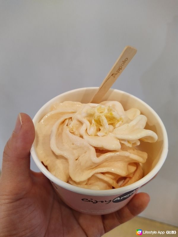 西瓜加桃嘅frozen yogurt