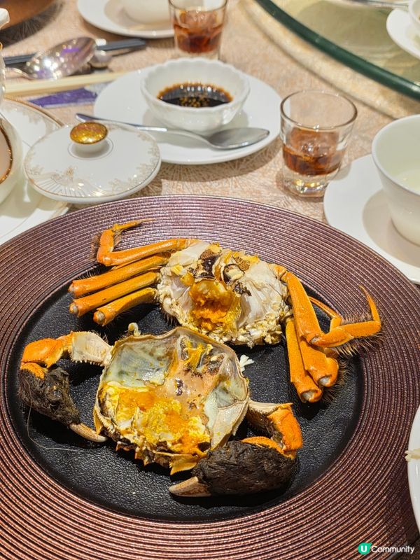 菊花五蛇燴花膠