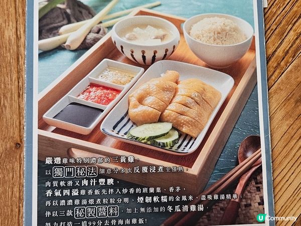 尖沙咀海南雞飯打卡熱點🐔😋