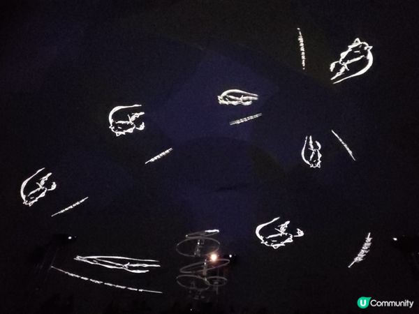 光影香港，聽見呼吸 🌌✨