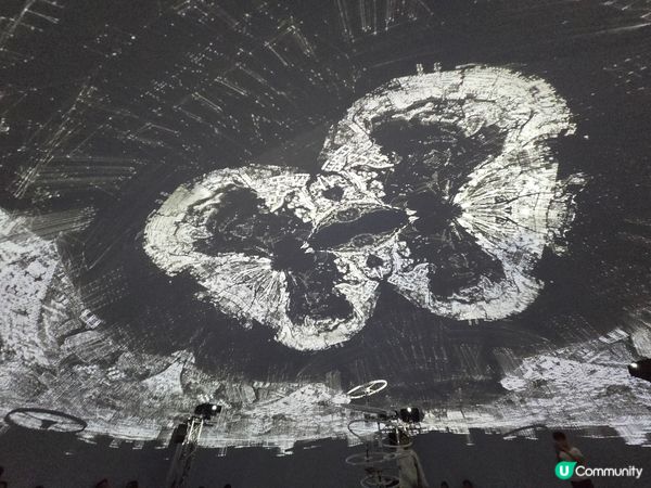 光影香港，聽見呼吸 🌌✨