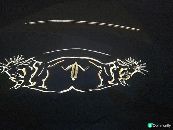 光影香港，聽見呼吸 🌌✨