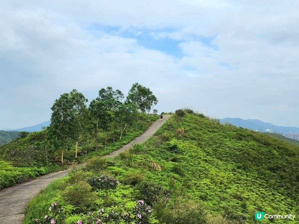 簡單行山路線~上水華山軍路⛰️