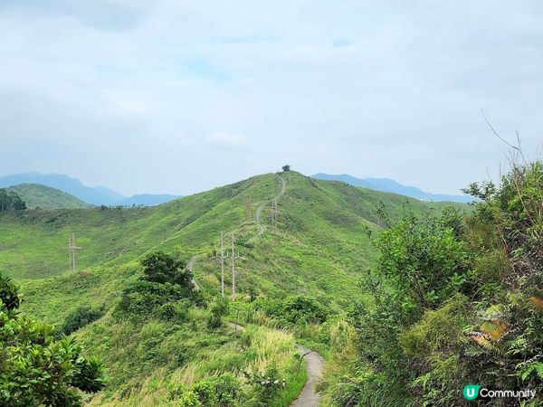 簡單行山路線~上水華山軍路⛰️