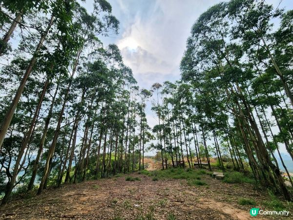 簡單行山路線~上水華山軍路⛰️