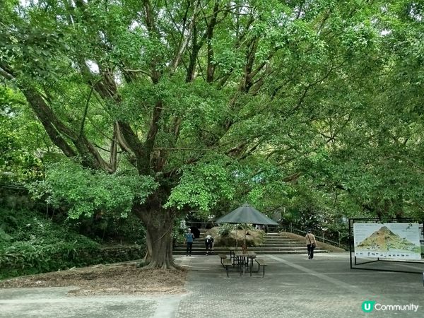 嘉道理農場70週年, 風景篇
