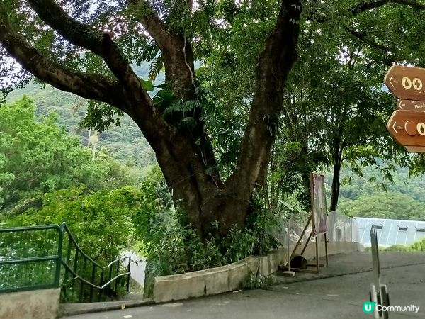 嘉道理農場70週年, 風景篇