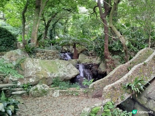 嘉道理農場70週年, 風景篇