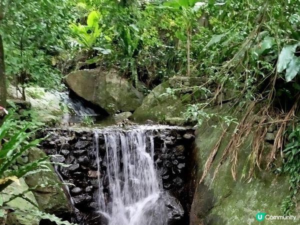 嘉道理農場70週年, 風景篇