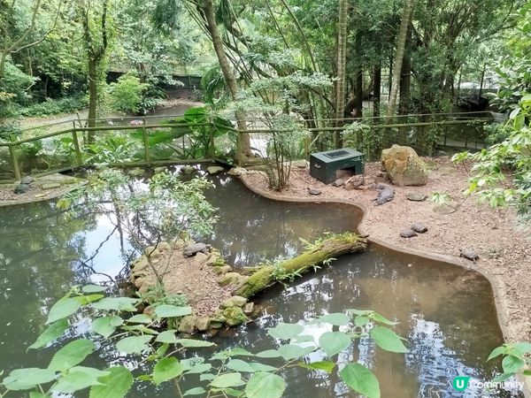 嘉道理農場70週年, 風景篇