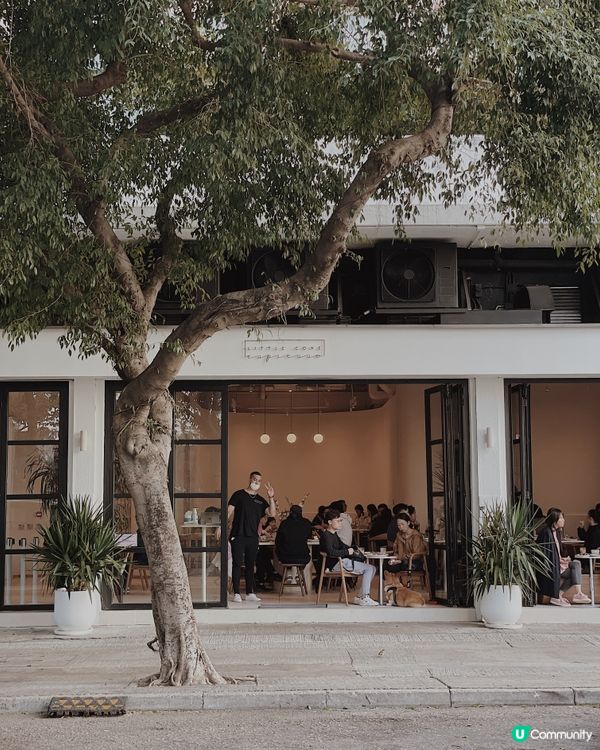 ◜ Little Cove Espresso ◞ ෆ​ 