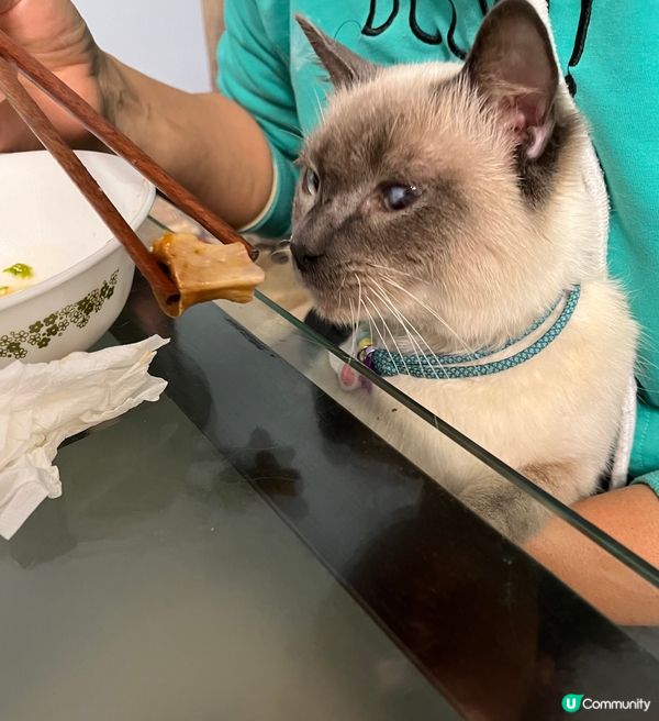 有得睇，冇得食？