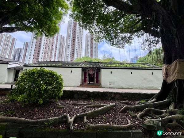 圍村活化，重拾舊時光！🏡✨
