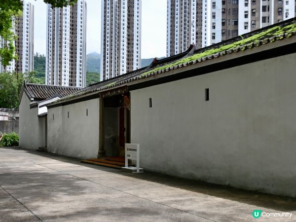 圍村活化，重拾舊時光！🏡✨