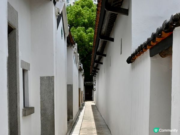 圍村活化，重拾舊時光！🏡✨