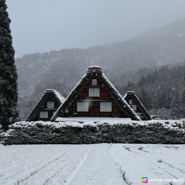 最難忘❄️鋪滿雪嘅白川鄉