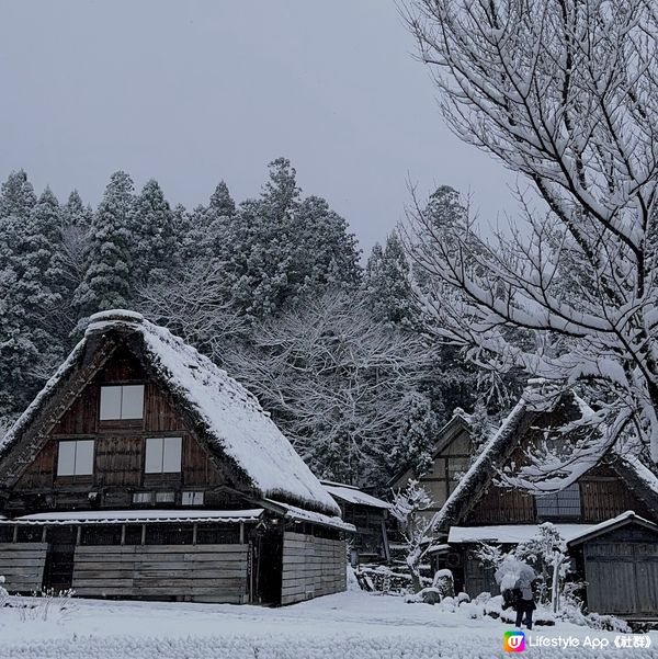 最難忘❄️鋪滿雪嘅白川鄉