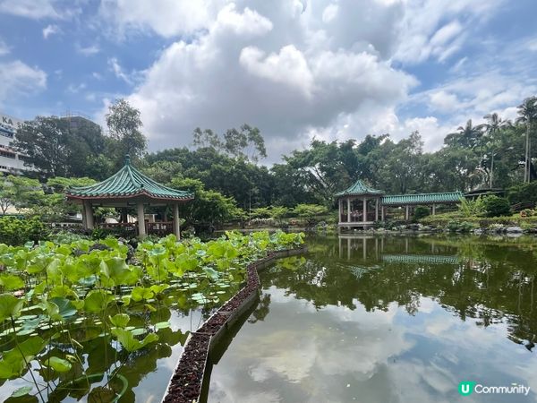 粉嶺康樂公園的真實情況｡小而精,簡潔､實用,處處以人為本｡
