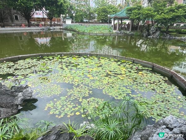 粉嶺康樂公園的真實情況｡小而精,簡潔､實用,處處以人為本｡
