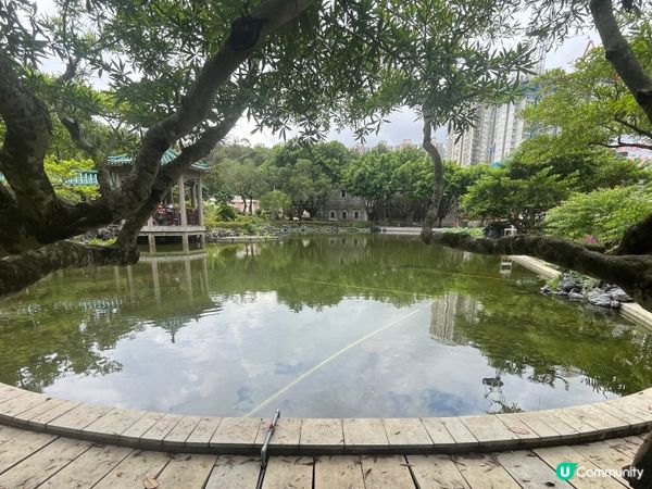 粉嶺康樂公園的真實情況｡小而精,簡潔､實用,處處以人為本｡