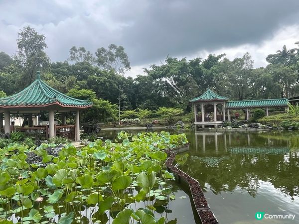 粉嶺康樂公園的真實情況｡小而精,簡潔､實用,處處以人為本｡