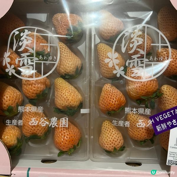 熊本縣「淡雪」🍓🍓🍓