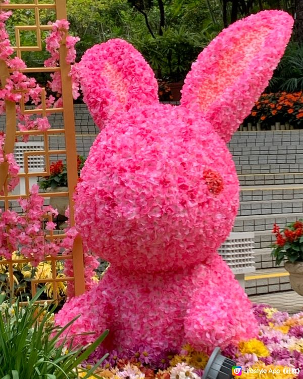 粉紅兔