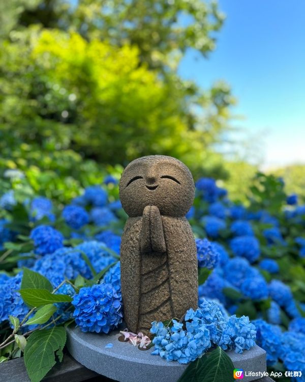 紫陽花秘境-藍色花海雲昌寺