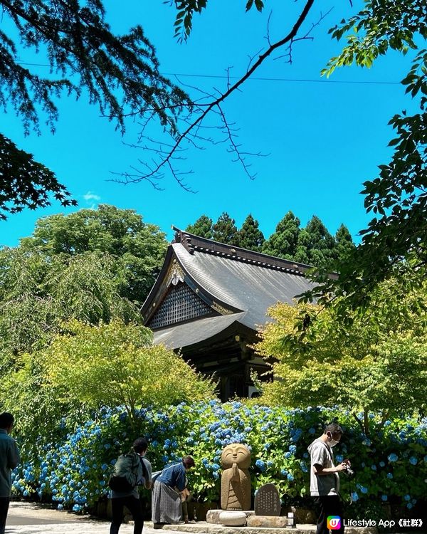 紫陽花秘境-藍色花海雲昌寺