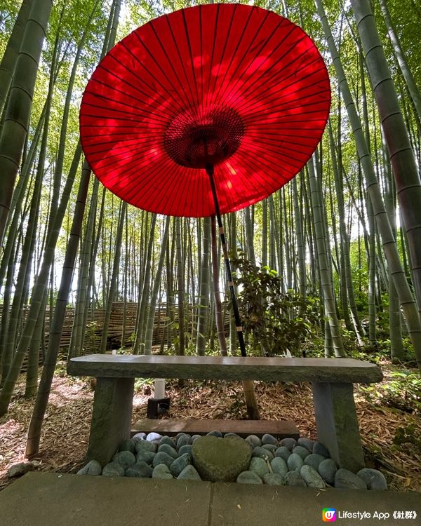 紫陽花秘境-藍色花海雲昌寺