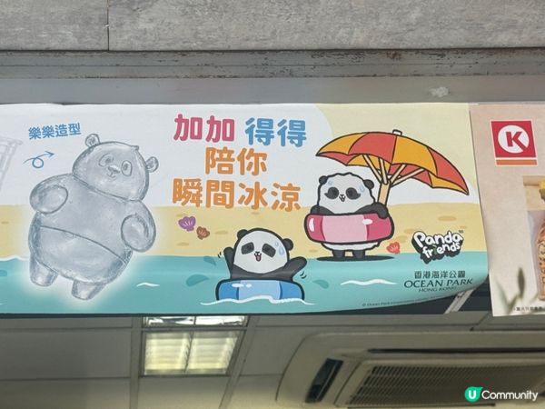 ok 可愛 熊貓冰