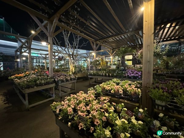 THE OUTLETS 全北九州最新最大商場！