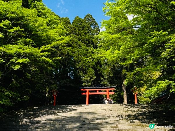 隱世秘景遊‼️鹿兒島五日四夜