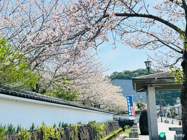 隱世秘景遊‼️鹿兒島五日四夜